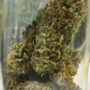 quantum-kush-wow-weed