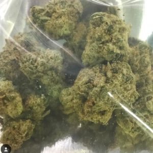 Lemon Meringue - Bacon's Buds