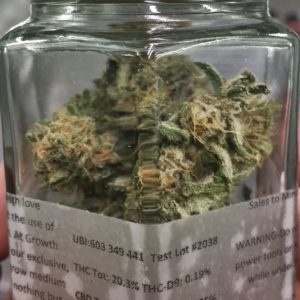 Blue Dream - Hank's